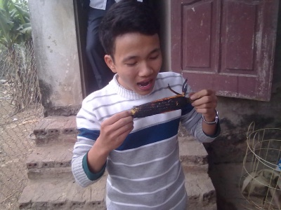 12a Thpt tạ uy&ecirc;n (2011-2014)